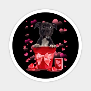 American Staffordshire Terrier In Red Pot Happy Valentine Magnet